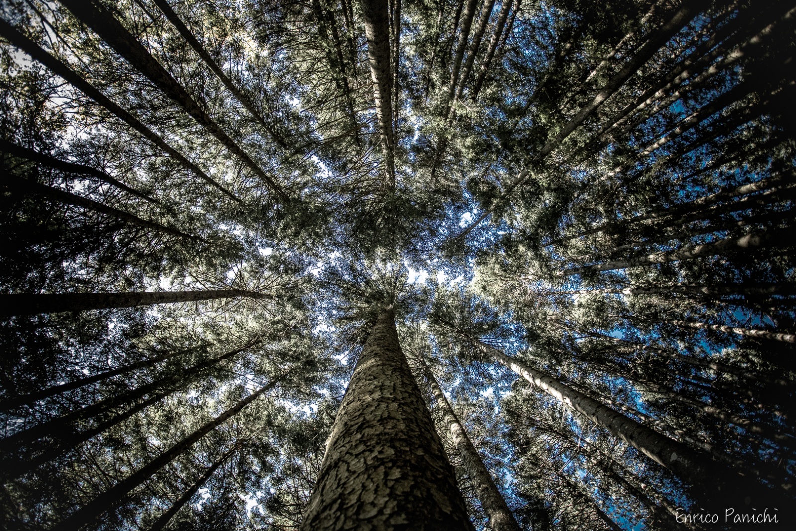 Festival del Fall Foliage Nel  Parco Nazionale delle Foreste Casentinesi · 001 — 