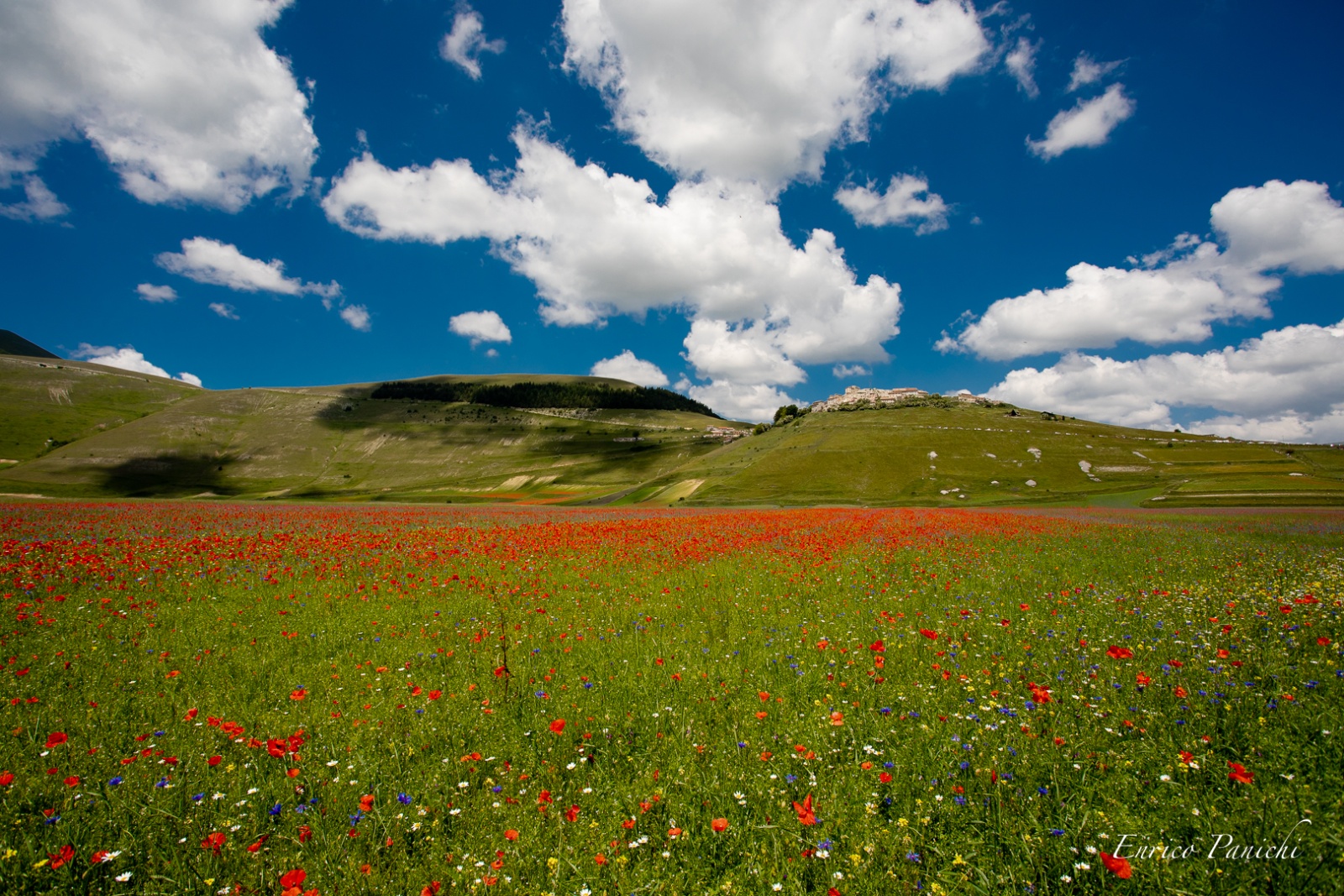 Castelluccio di Norcia Fioritura 2020 · 007 — 