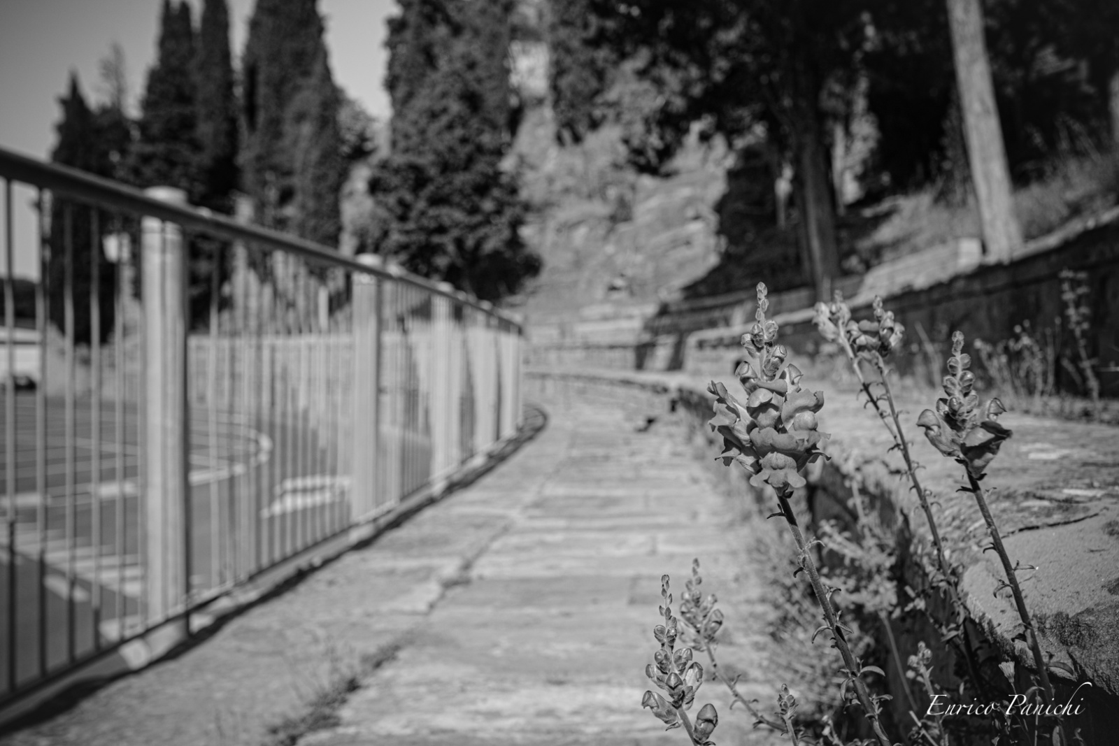 Castiglion Fiorentino Aprile 2020 · 020 — 