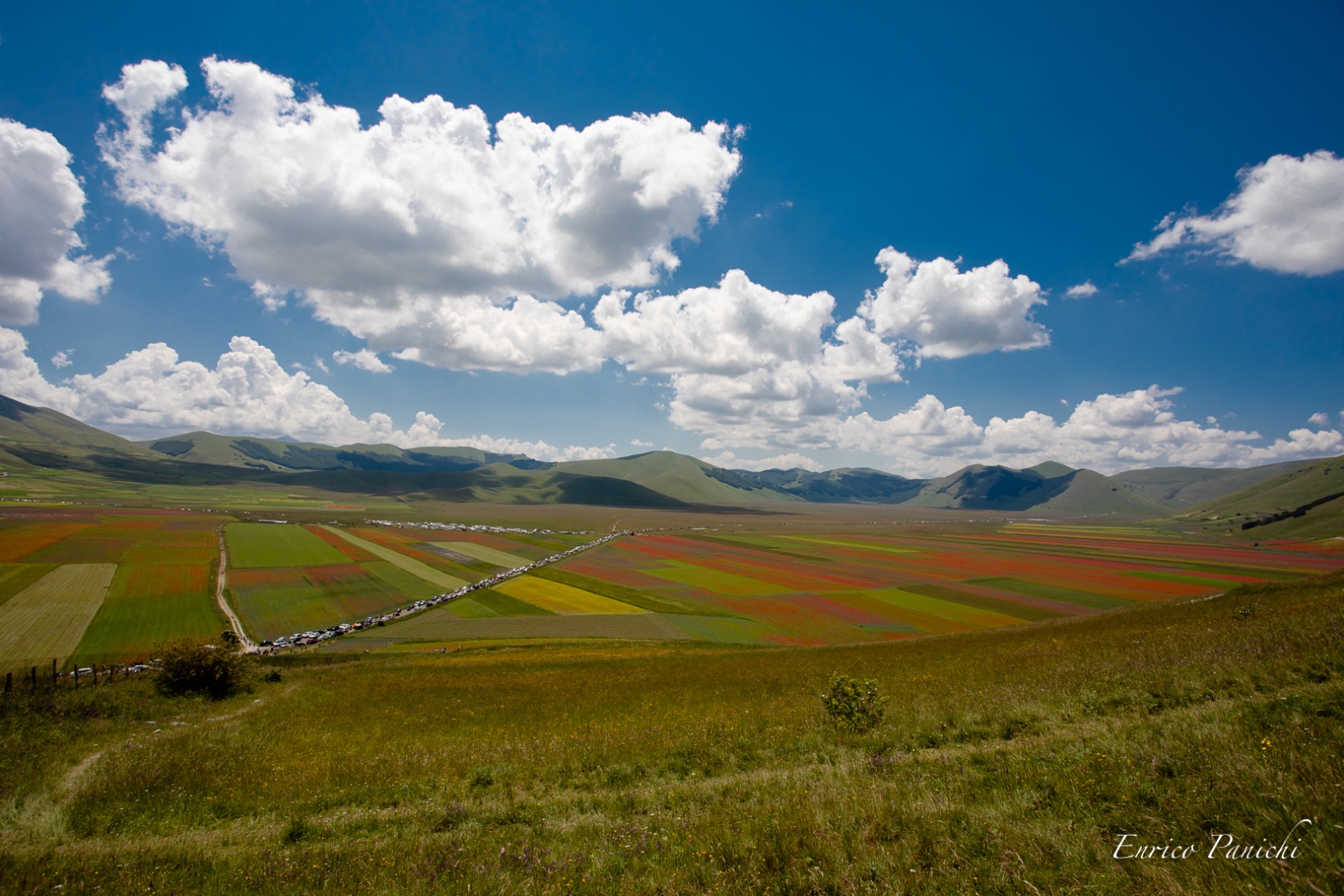 Castelluccio di Norcia Fioritura 2020 · 005 — 