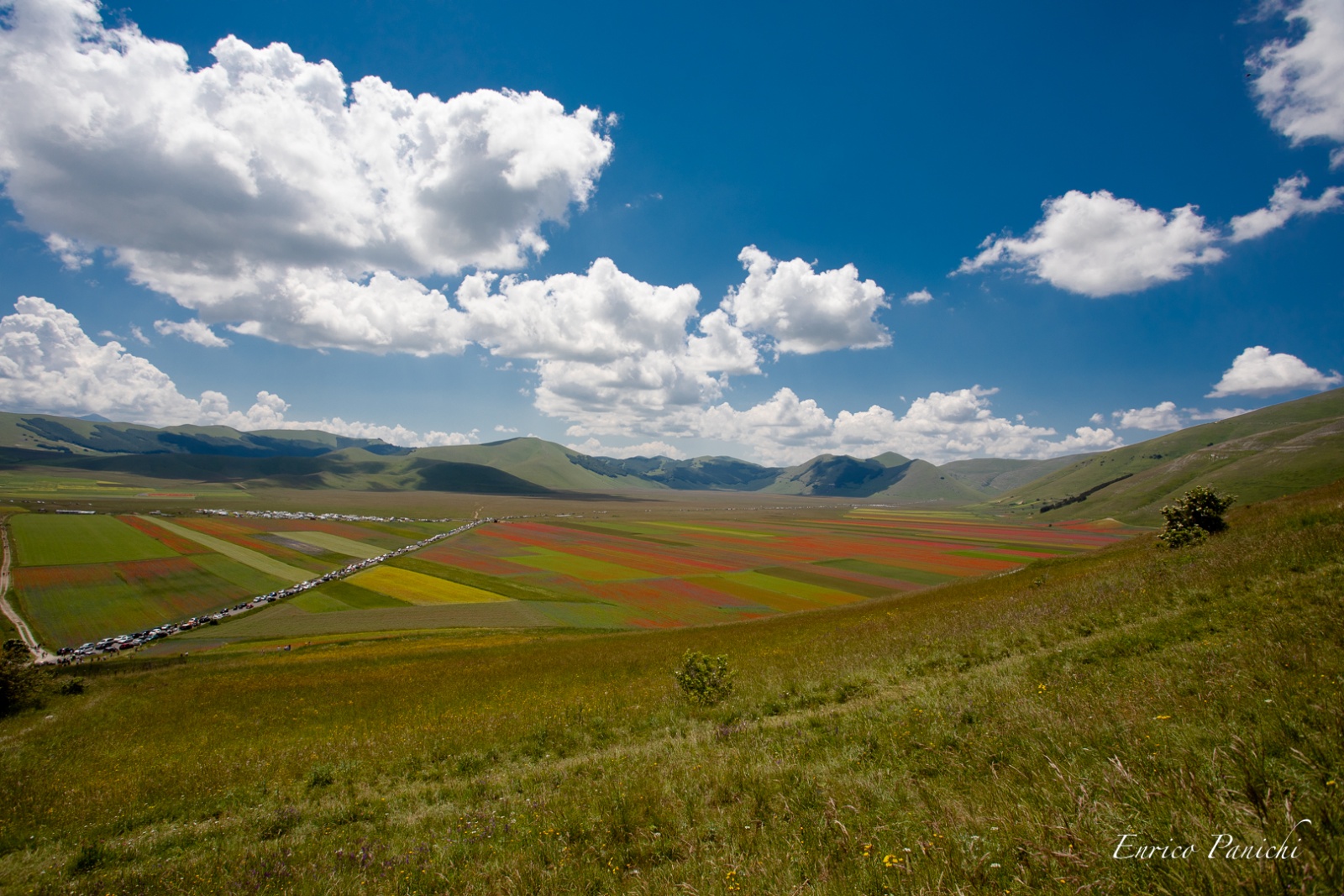 Castelluccio di Norcia Fioritura 2020 · 004 — 