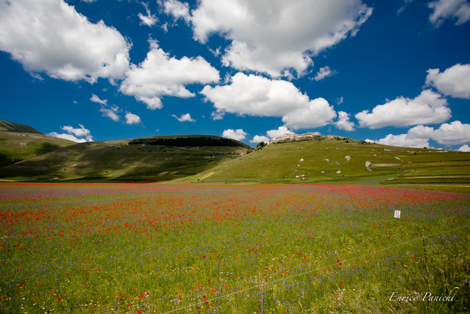 Castelluccio di Norcia Fioritura 2020 · 010 — 