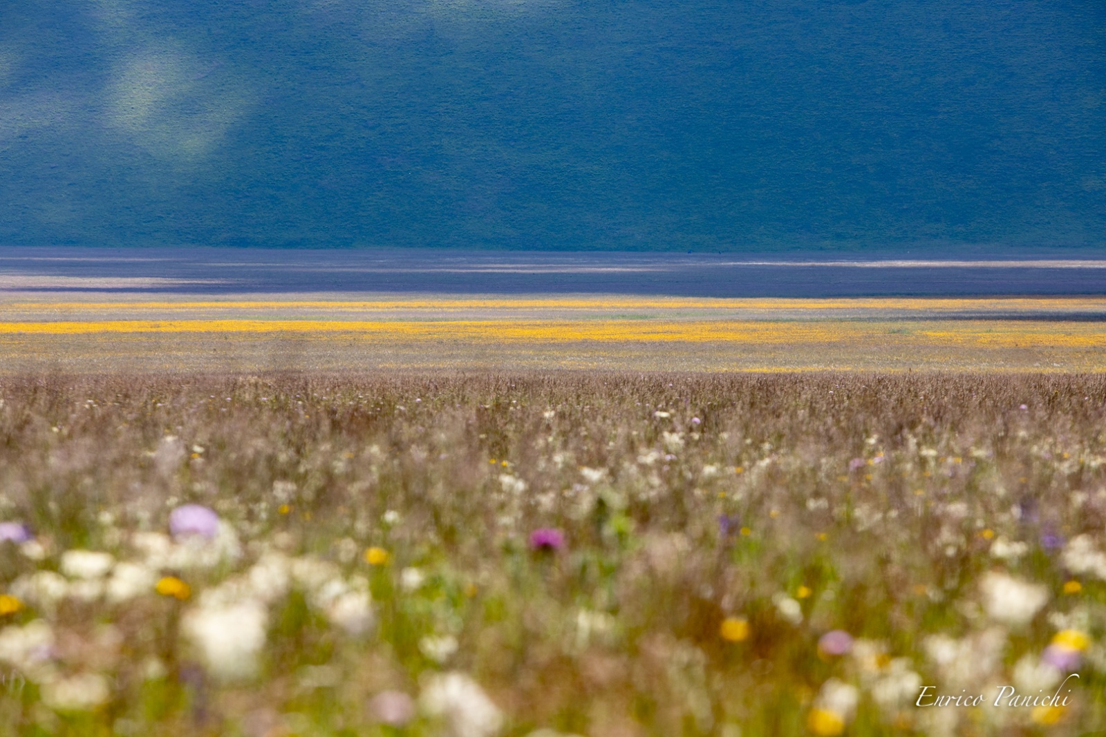 Castelluccio di Norcia Fioritura 2020 · 022 — 