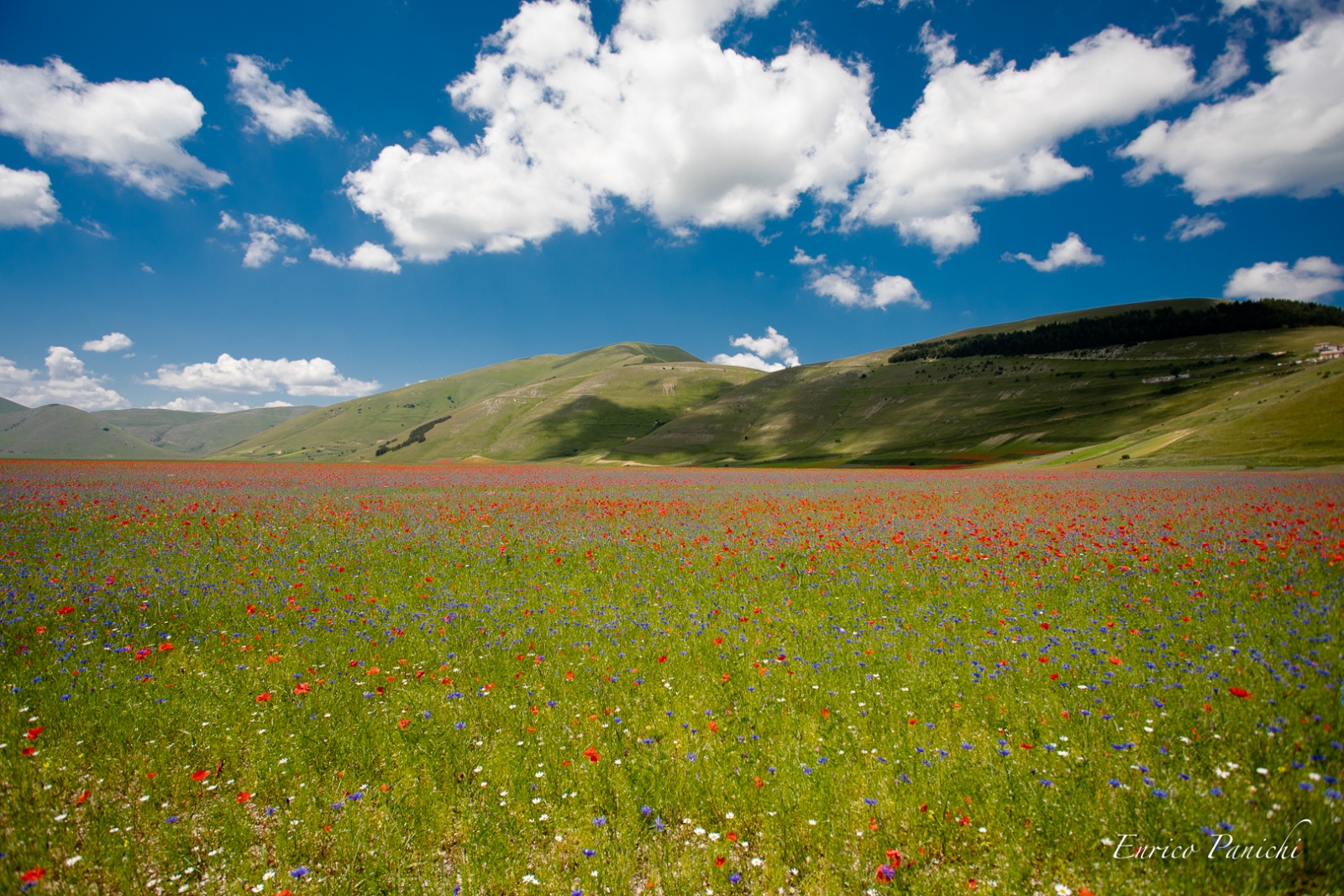 Castelluccio di Norcia Fioritura 2020 · 011 — 