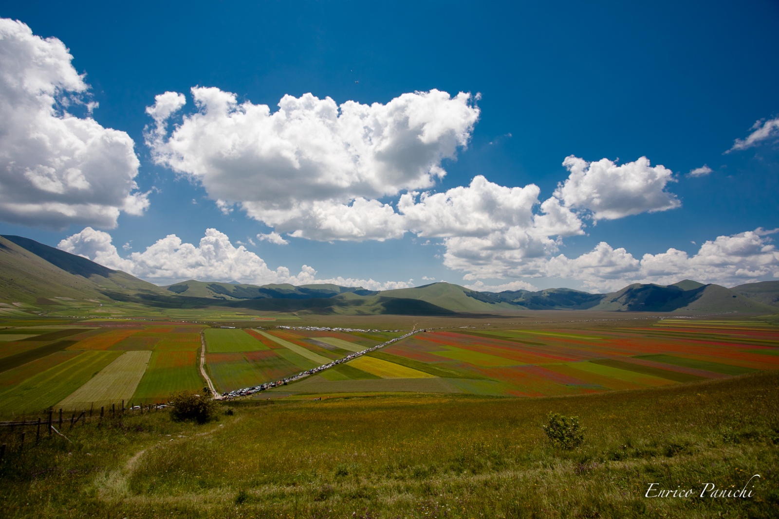 Castelluccio di Norcia Fioritura 2020 · 003 — 