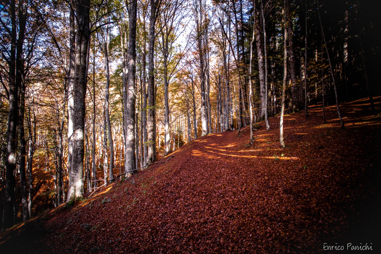 Festival del Fall Foliage Nel  Parco Nazionale delle Foreste Casentinesi · 006 — 