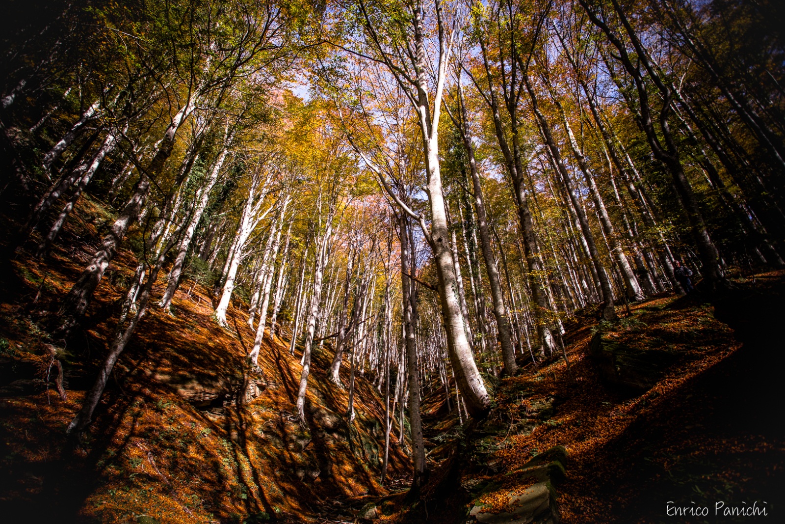 Festival del Fall Foliage Nel  Parco Nazionale delle Foreste Casentinesi · 007 — 