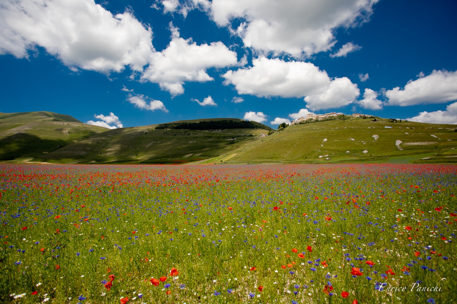 Castelluccio di Norcia Fioritura 2020 · 012 — 