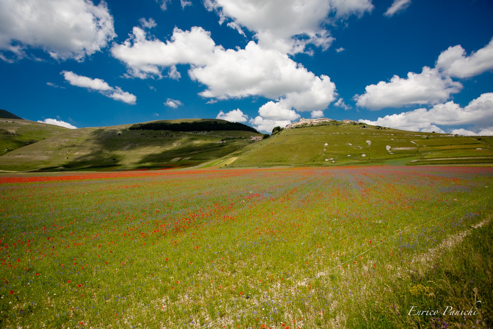 Castelluccio di Norcia Fioritura 2020 · 009 — 