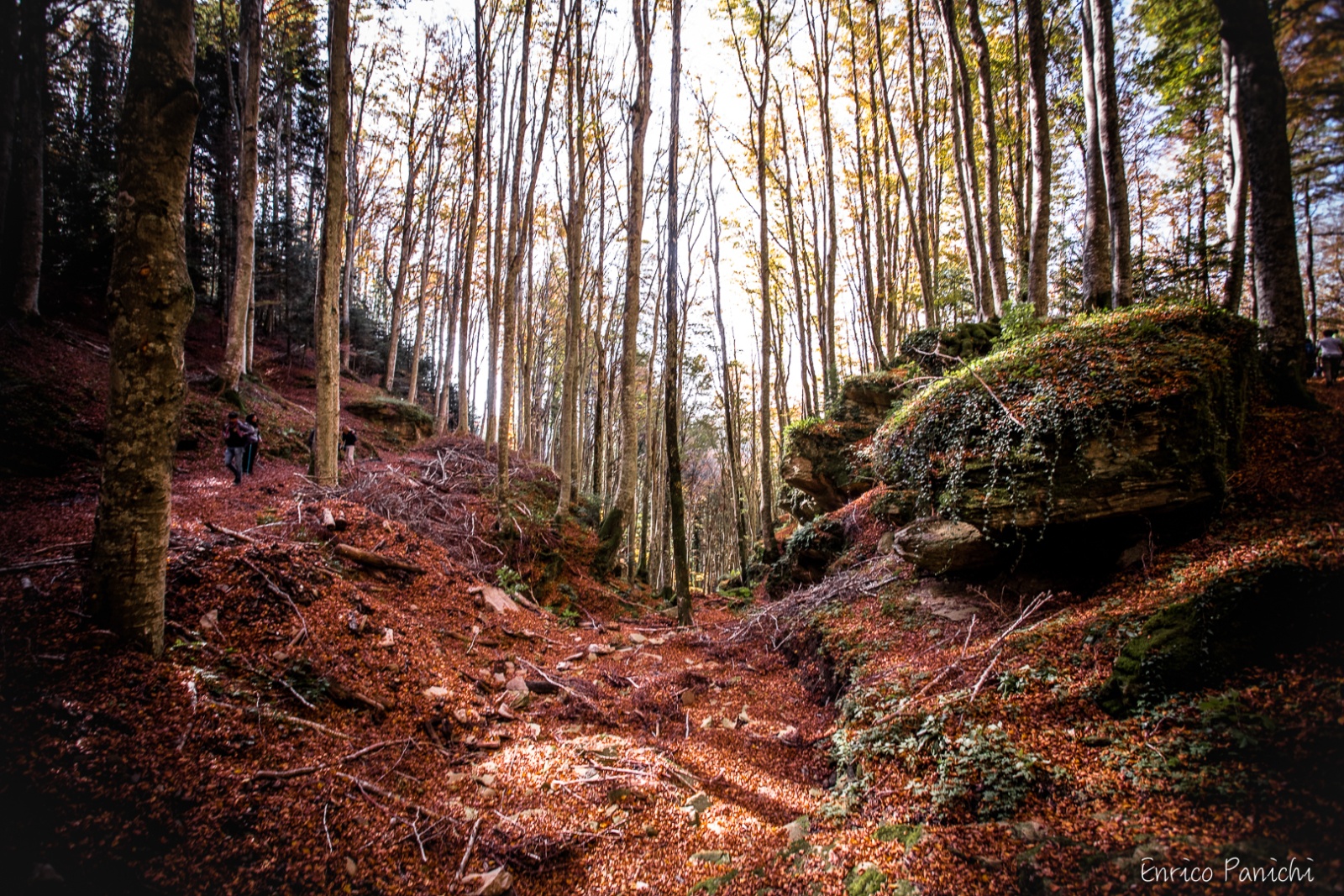 Festival del Fall Foliage Nel  Parco Nazionale delle Foreste Casentinesi · 003 — 