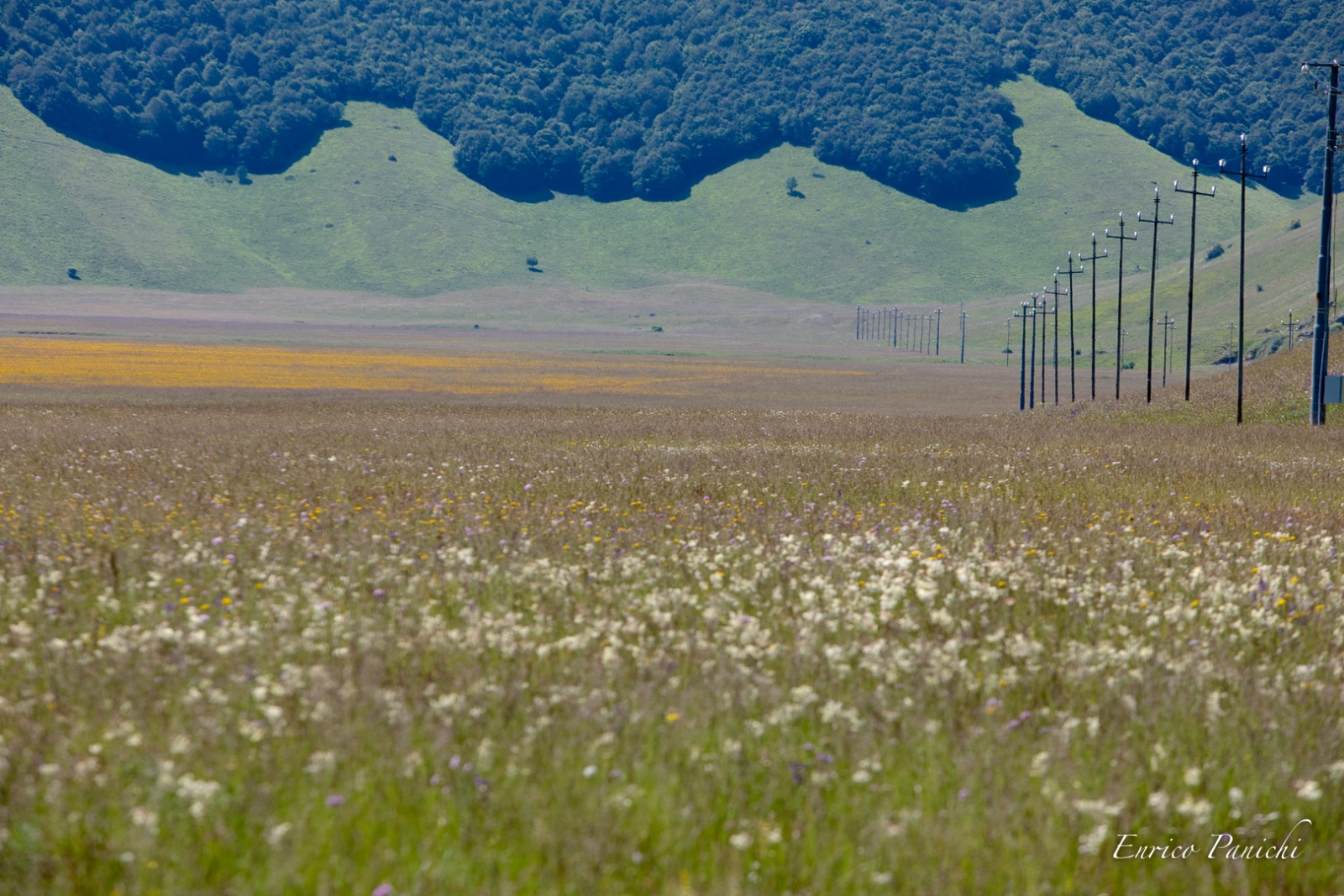 Castelluccio di Norcia Fioritura 2020 · 023 — 