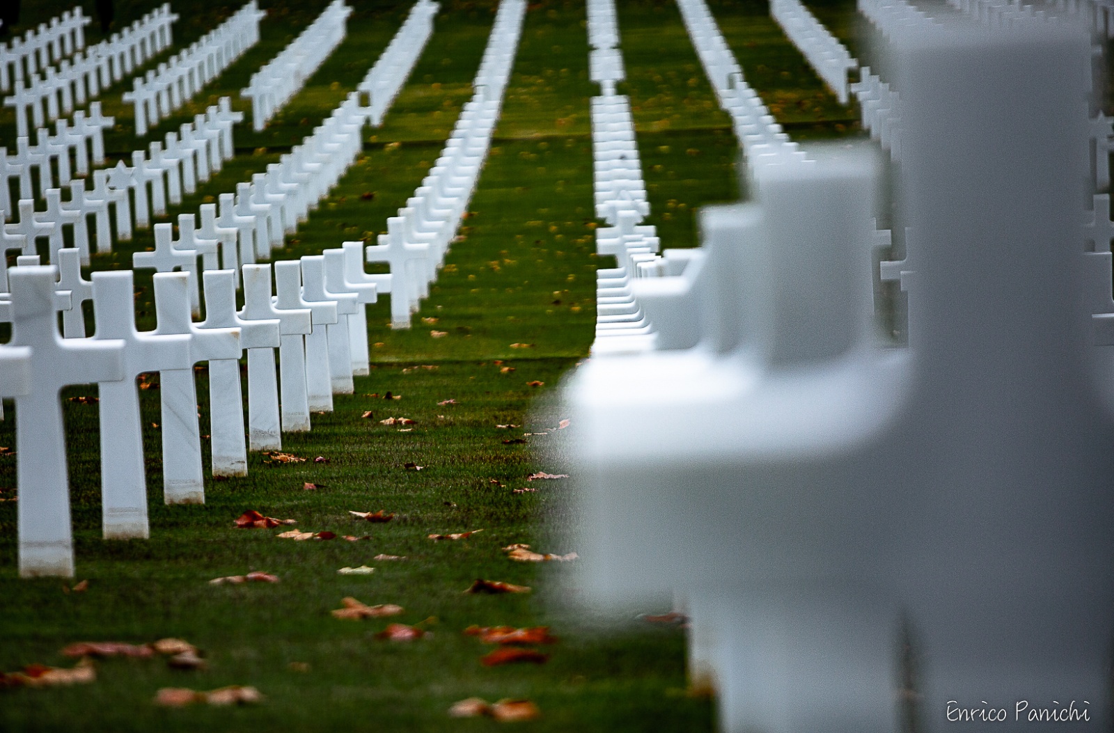 Reenactors · 008 — 