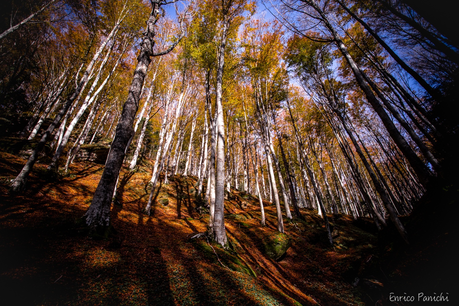 Festival del Fall Foliage Nel  Parco Nazionale delle Foreste Casentinesi · 004 — 