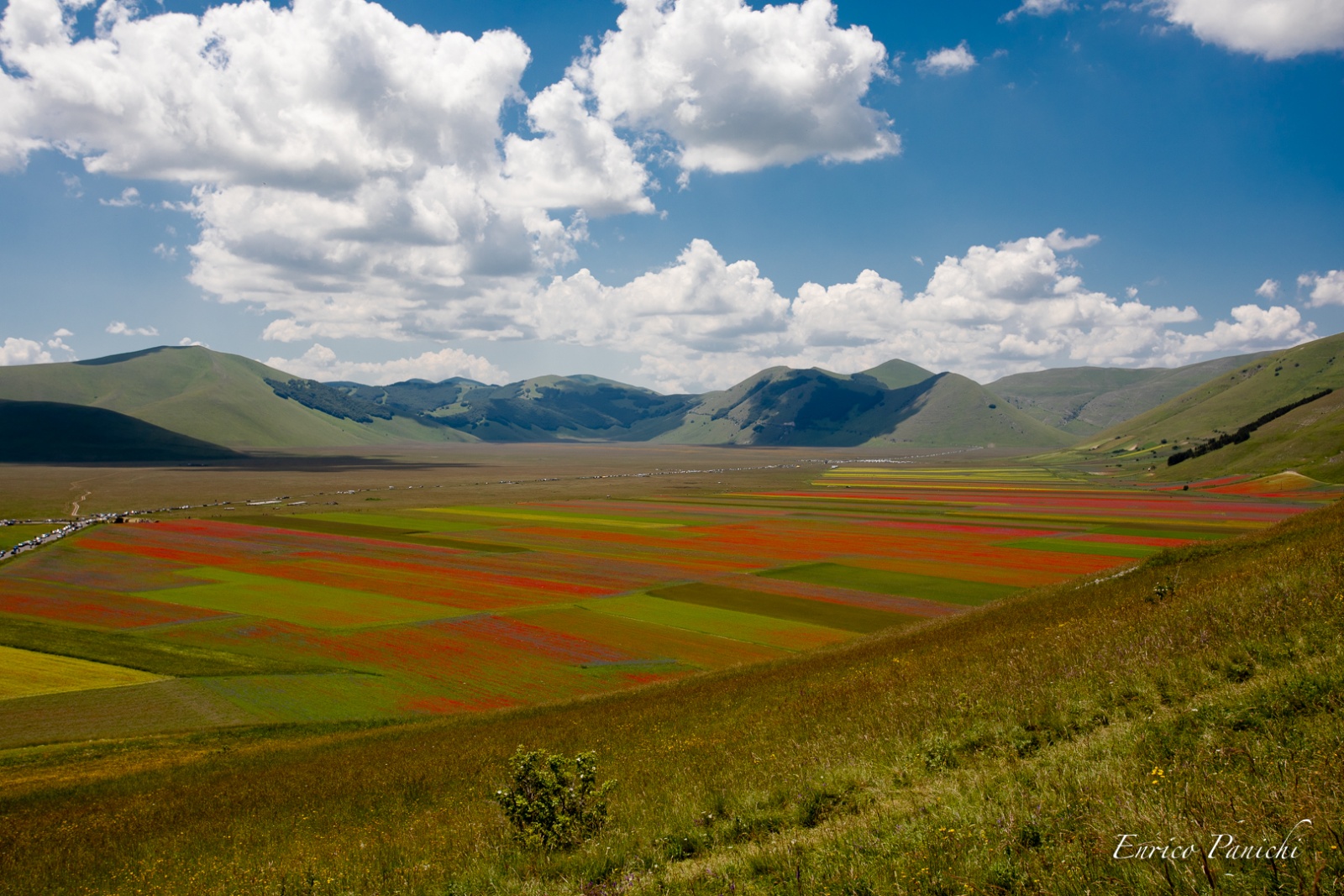 Castelluccio di Norcia Fioritura 2020 · 002 — 