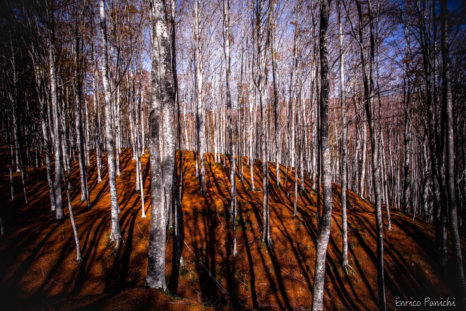 Festival del Fall Foliage Nel  Parco Nazionale delle Foreste Casentinesi · 010 — 