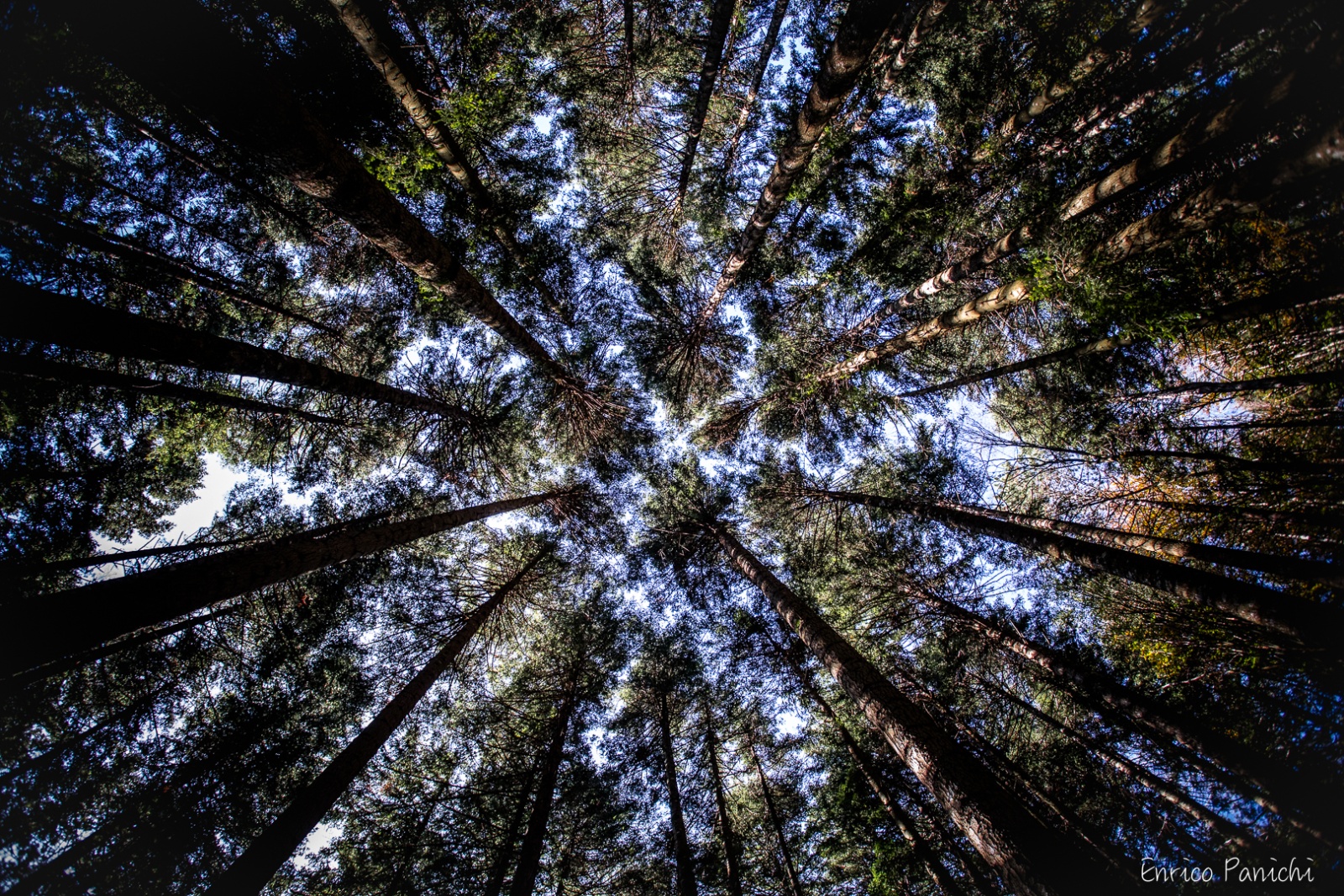 Festival del Fall Foliage Nel  Parco Nazionale delle Foreste Casentinesi · 005 — 