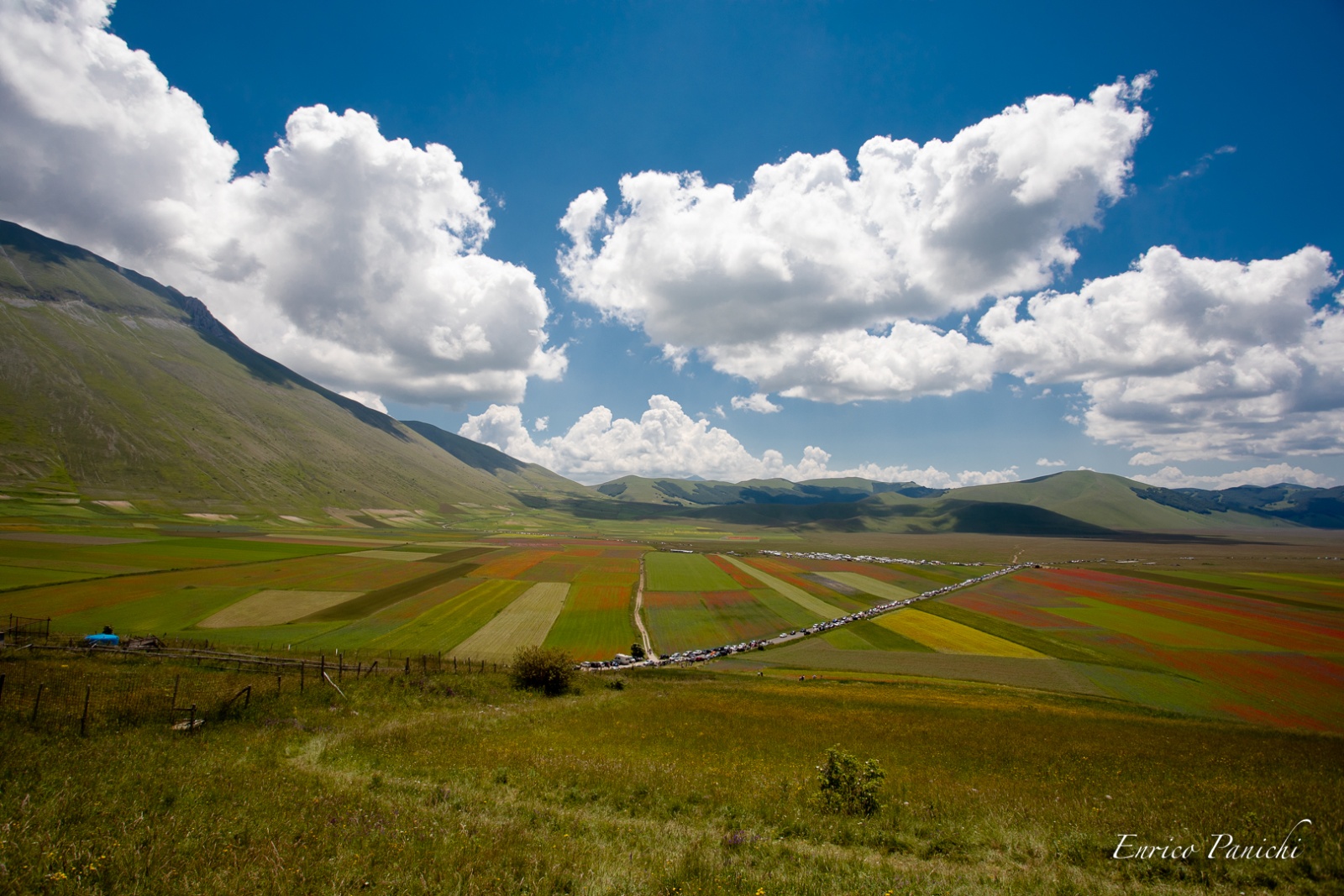 Castelluccio di Norcia Fioritura 2020 · 006 — 