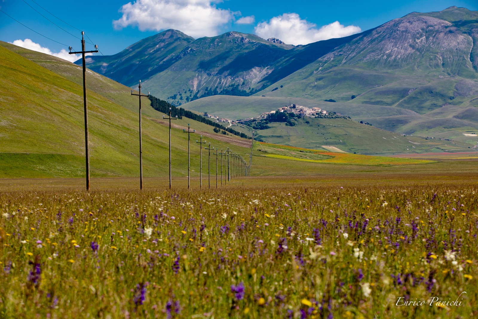 Castelluccio di Norcia Fioritura 2020 · 025 — 